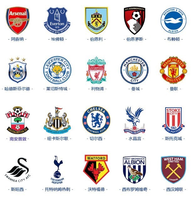 为球队提供 为球队提供